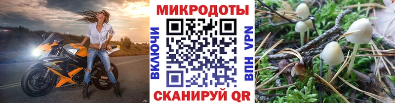 как найти закладки  Благовещенск  mega онион  Псилоцибиновые грибы Psilocybine cubensis 