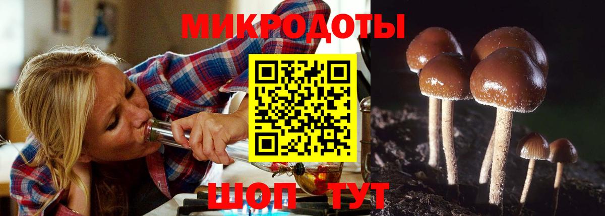 Галлюциногенные грибы Psilocybe Благовещенск